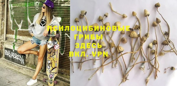твердый Волоколамск