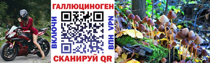 Псилоцибиновые грибы Psilocybe  Назарово 